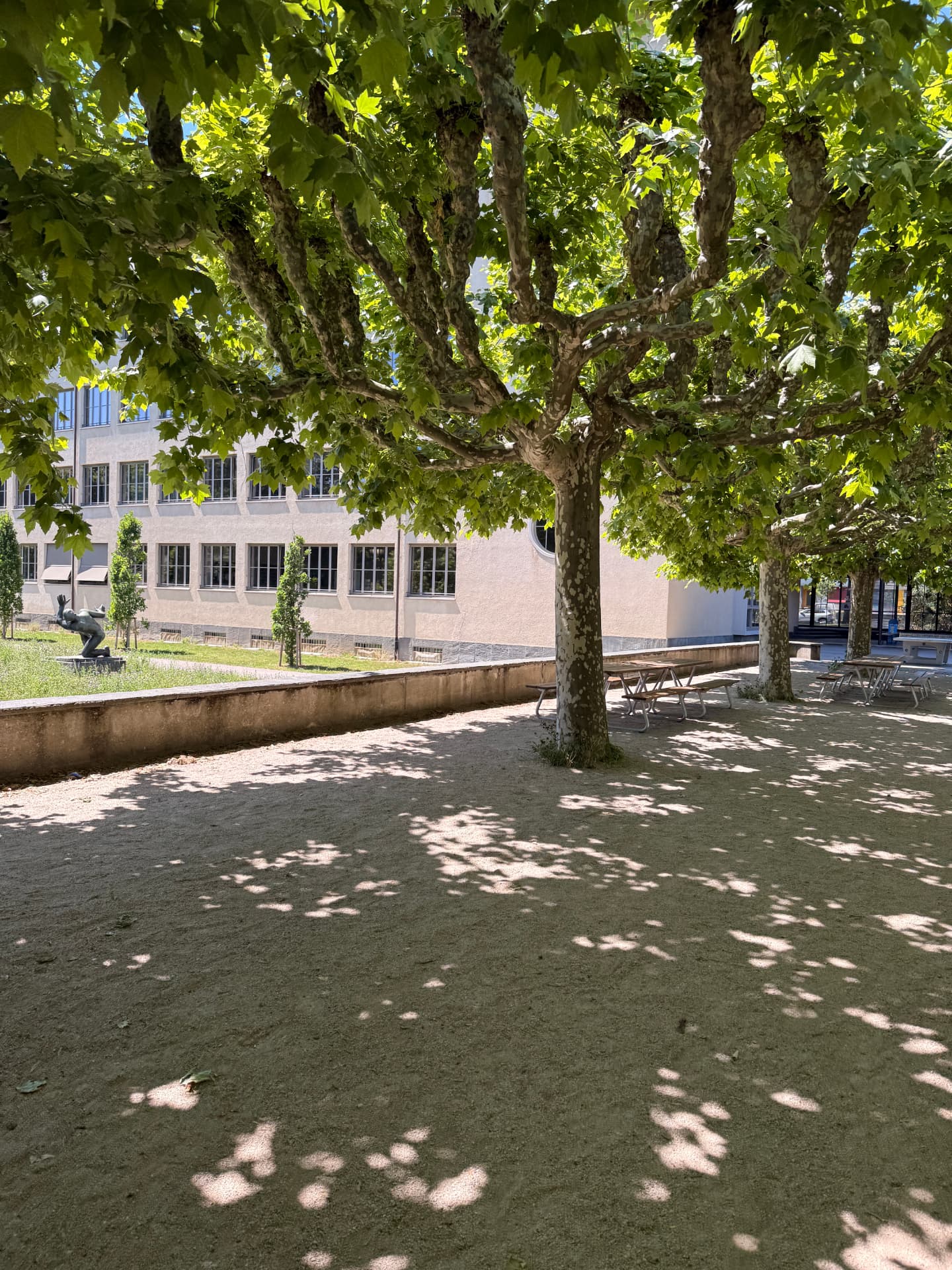 Schattiger Innenhof mit Platanen und Sitzbänken